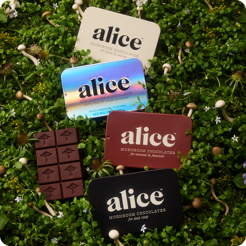 Discovery Set - Brainstorm, Nightcap, Party Trick and Happy Ending Functional Mushroom Chocolates