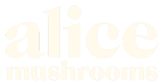 Alice Mushrooms logo