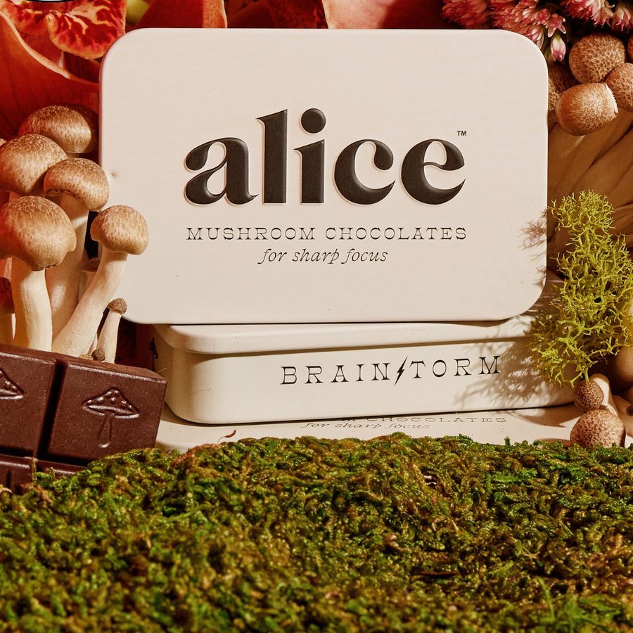 a cream Brainstorm tin with mushrooms and dark chocolate squares on moss