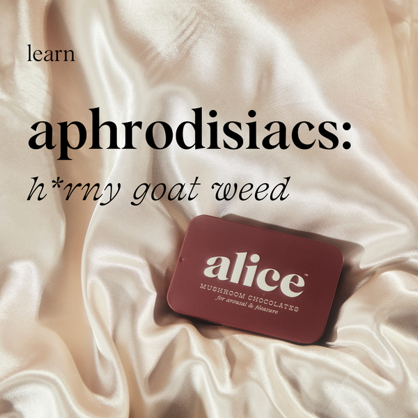 horny goat weed legendary aphrodisiac