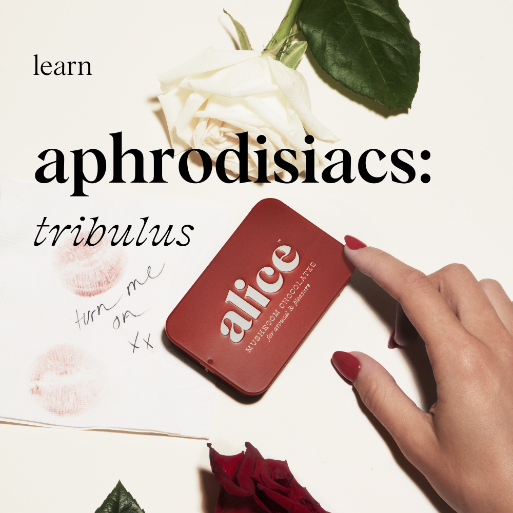tribulus intimacy
