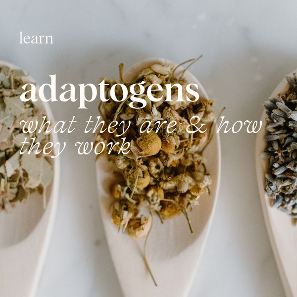 Adaptogens Explained: What They Are & How They Work
