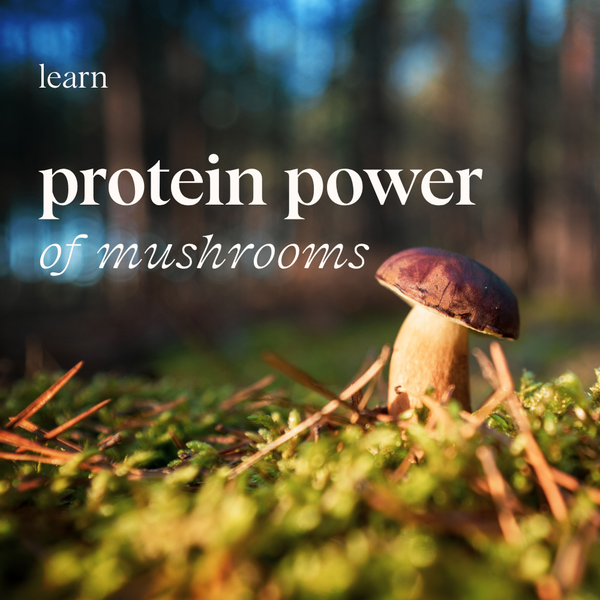 The Protein Power of Mushrooms