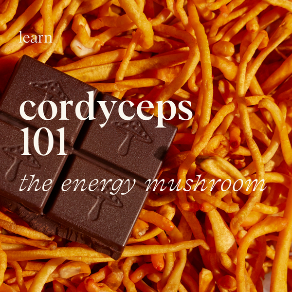 cordyceps: the energy mushroom