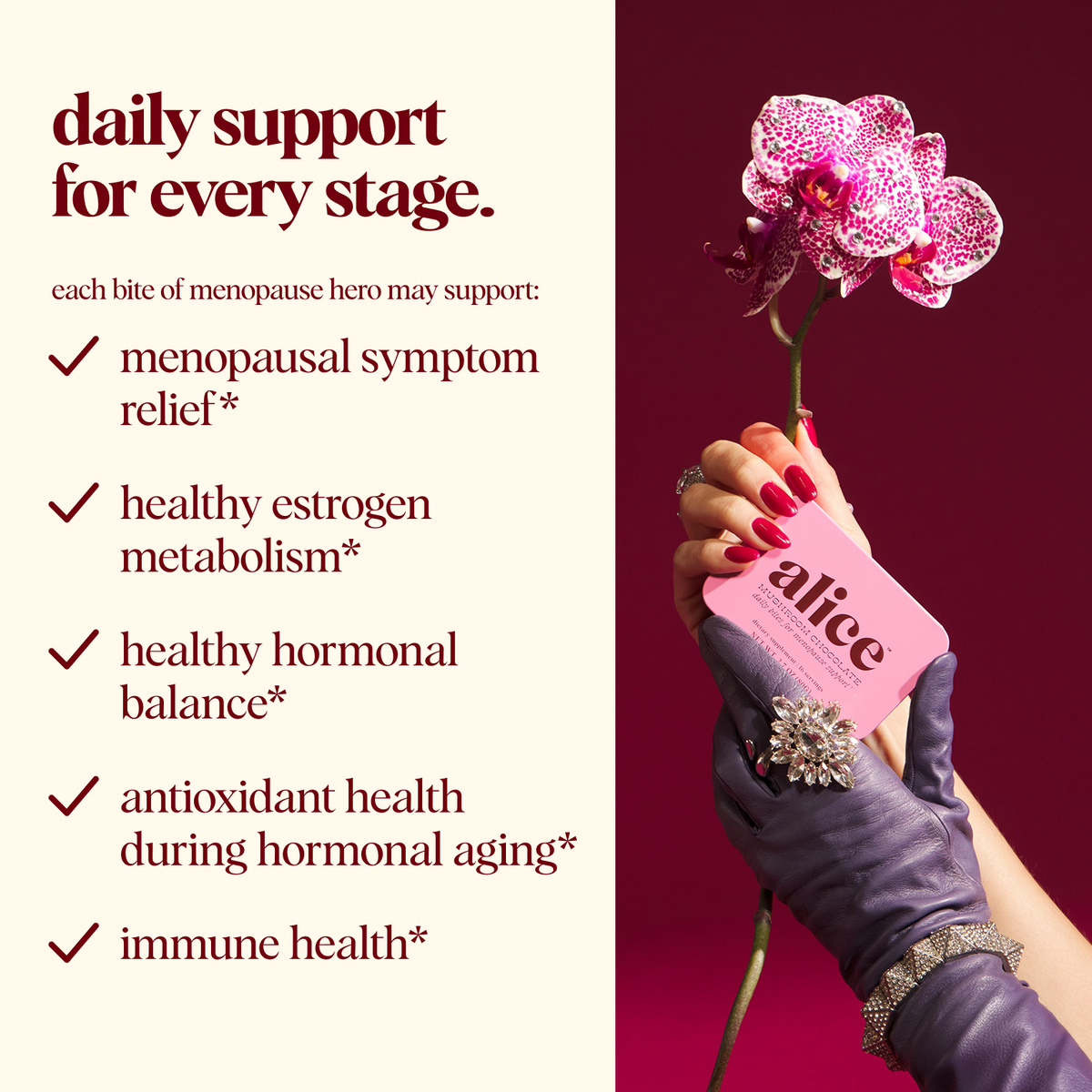 Menopause Hero Mushroom Chocolate Subscription