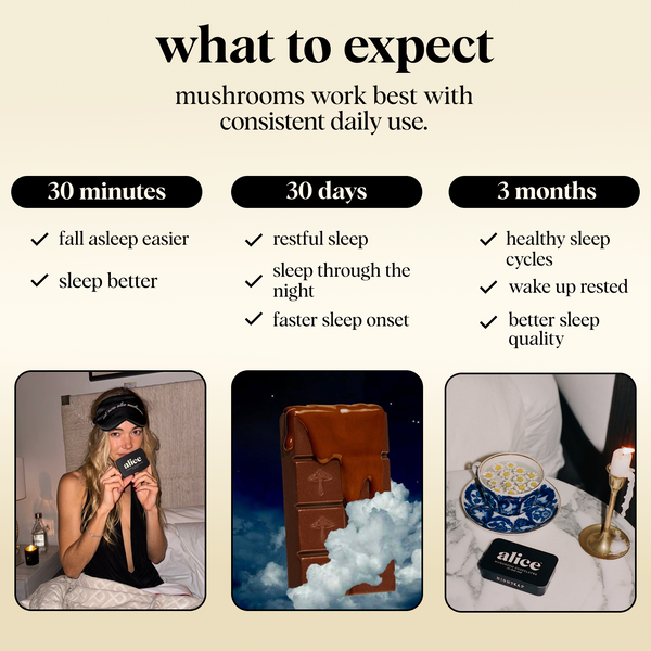 Mother's Day Bundle (Nightcap + Zen-X) – alice mushrooms