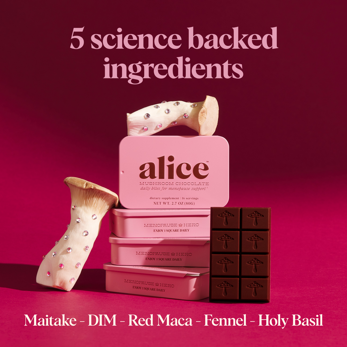 Menopause Hero Mushroom Chocolate Subscription