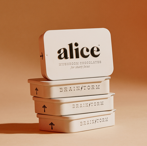 Brainstorm Functional Mushroom Chocolates