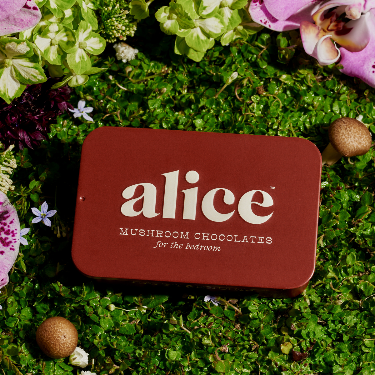 Happy Ending mushroom chocolate tin, red, lid reading alice mushroom chocolates for the bedroom, resting on moss with orchids