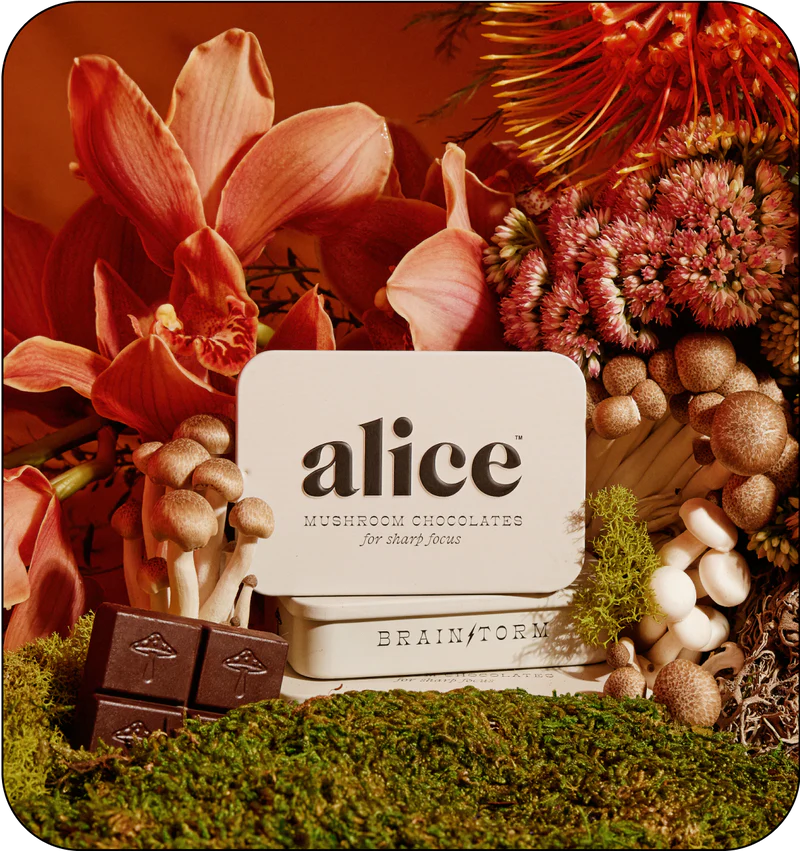 gid://shopify/MediaImage/27914390765705