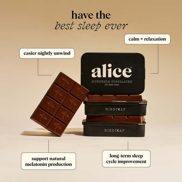 Everyday Duo - Brainstorm and Nightcap Functional Mushroom Chocolates