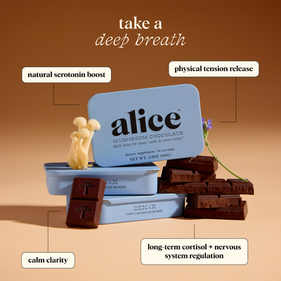 zen-x functional mushroom subscription kit