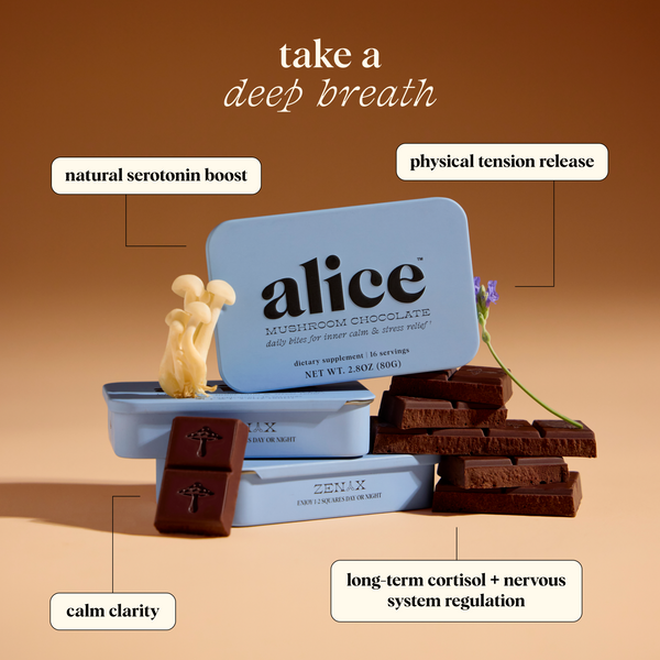 Mother's Day Bundle (Nightcap + Zen-X) – alice mushrooms