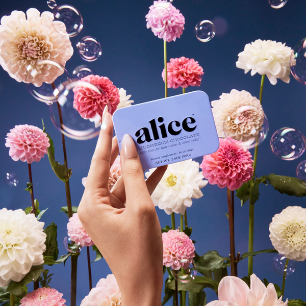 Zen-X Functional Mushroom Subscription Kit