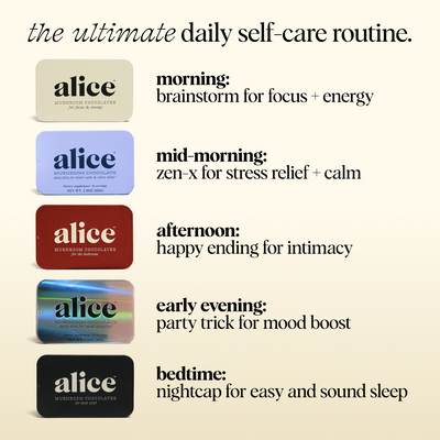 Discovery Set - Zen-X, Brainstorm, Nightcap, Party Trick, and Happy Ending Functional Mushroom Chocolates