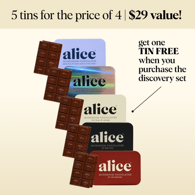 Discovery Set - Zen-X, Brainstorm, Nightcap, Party Trick, and Happy Ending Functional Mushroom Chocolates