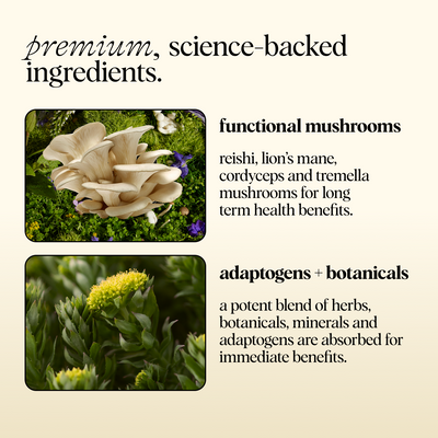 Everyday Duo - Brainstorm and Nightcap Functional Mushroom Chocolates