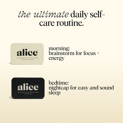 Everyday Duo - Brainstorm and Nightcap Functional Mushroom Chocolates