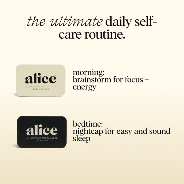 Everyday Duo - Brainstorm and Nightcap Functional Mushroom Chocolates