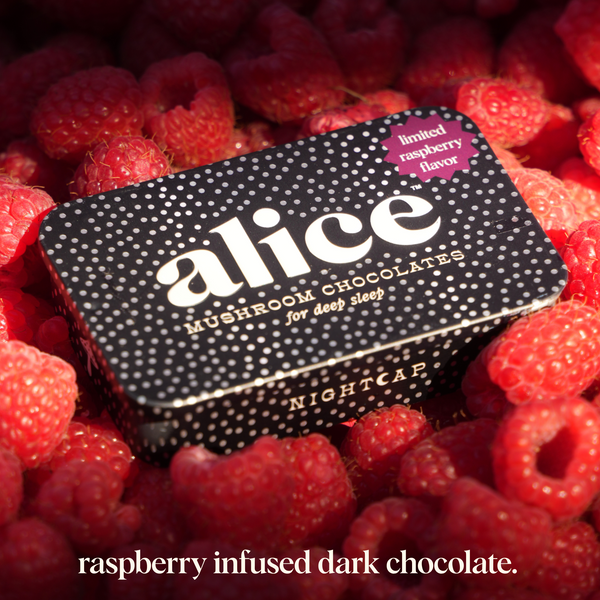 Berry & Mocha Duo