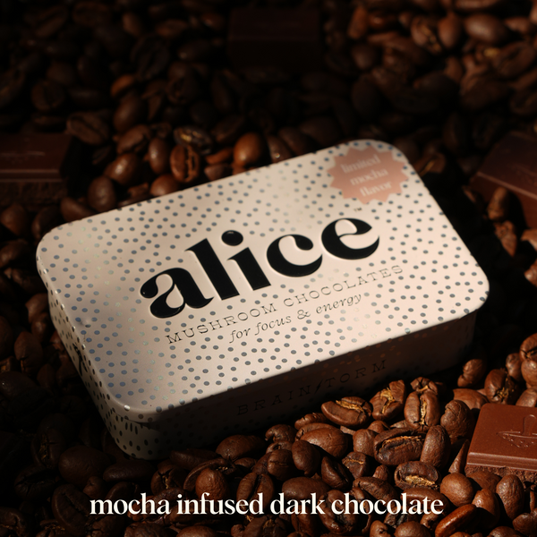 Berry & Mocha Duo