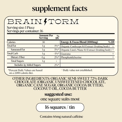 Everyday Duo - Brainstorm and Nightcap Functional Mushroom Chocolates