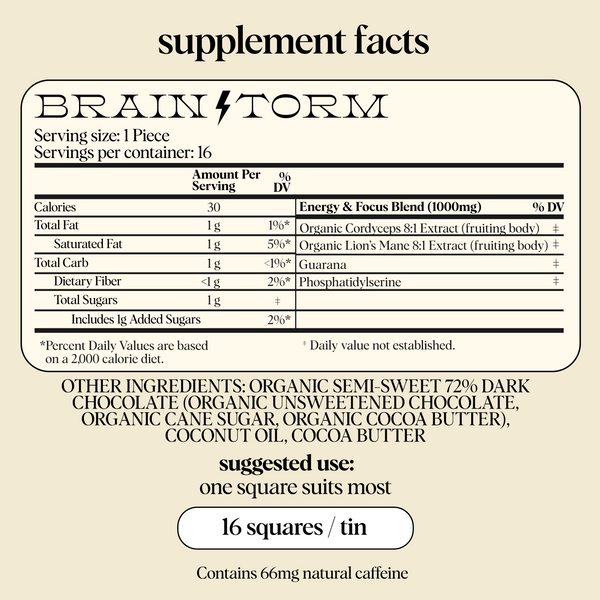 Everyday Duo - Brainstorm and Nightcap Functional Mushroom Chocolates