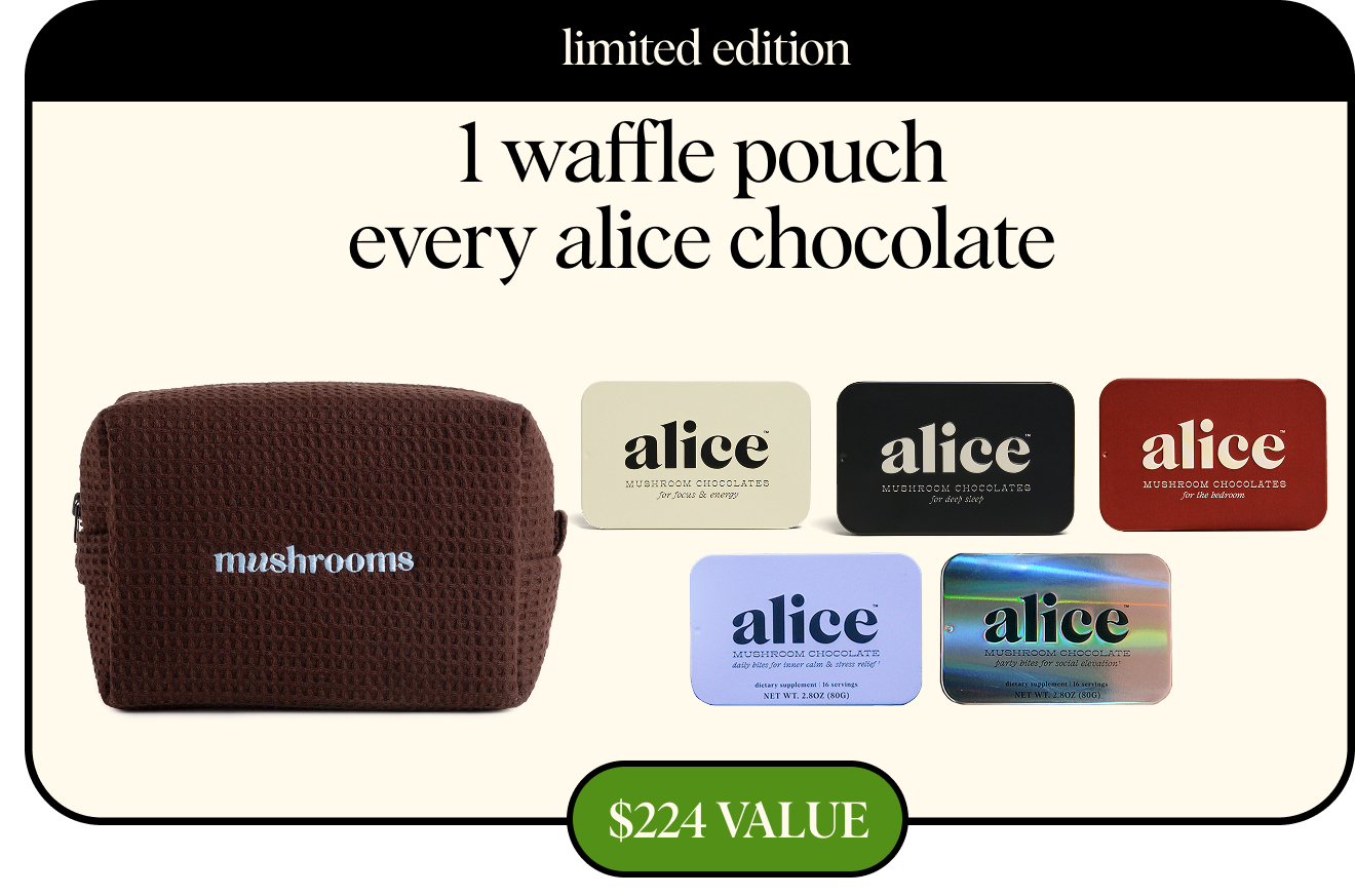 gid://shopify/MediaImage/29189518557321