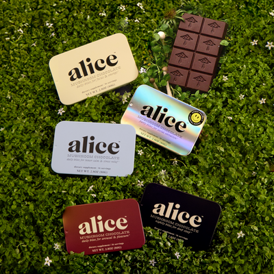 Discovery Set - Zen-X, Brainstorm, Nightcap, Party Trick, and Happy Ending Functional Mushroom Chocolates