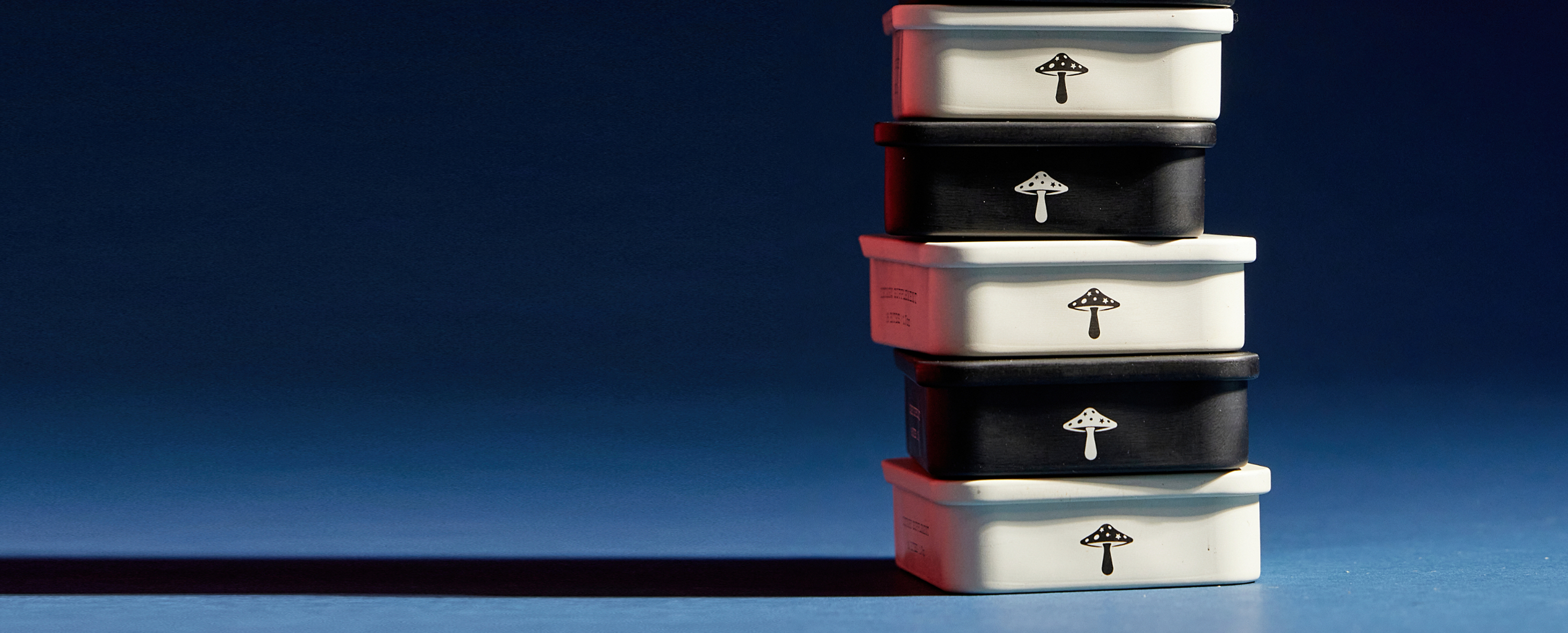 see how alice stacks up.