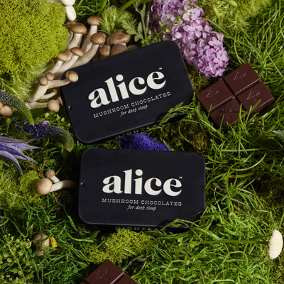 nightcap mushroom chocolates