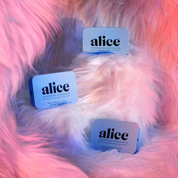 Zen-X Functional Mushroom Chocolates