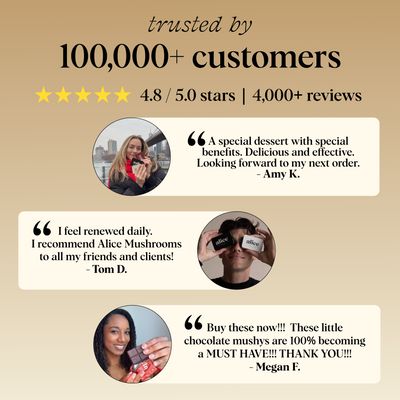 Everyday Duo - Brainstorm and Nightcap Functional Mushroom Chocolates