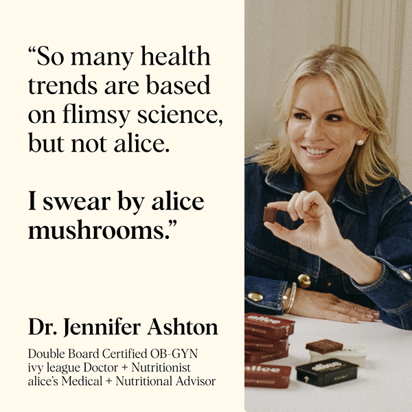 Brainstorm Functional Mushroom Chocolates