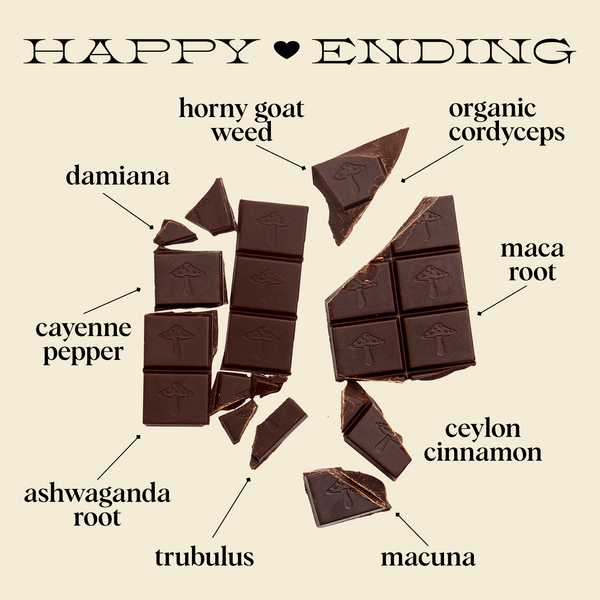 Discovery Set - Brainstorm, Nightcap, and Happy Ending Functional Mushroom Chocolates