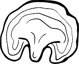 aim-instores img/art-zx-reishi.webp