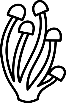 aim-instores img/doodle-mushroom.webp