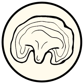 aim-instores img/icon-nc-reishi.webp