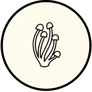 aim-instores img/icon-row-mushrooms.webp