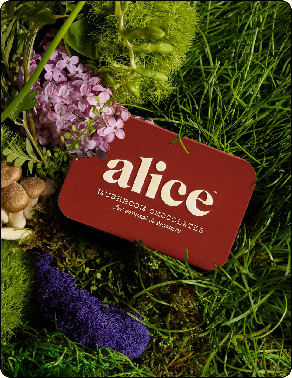happy ending tin, red, resting in grass with lilac flowers and mushrooms