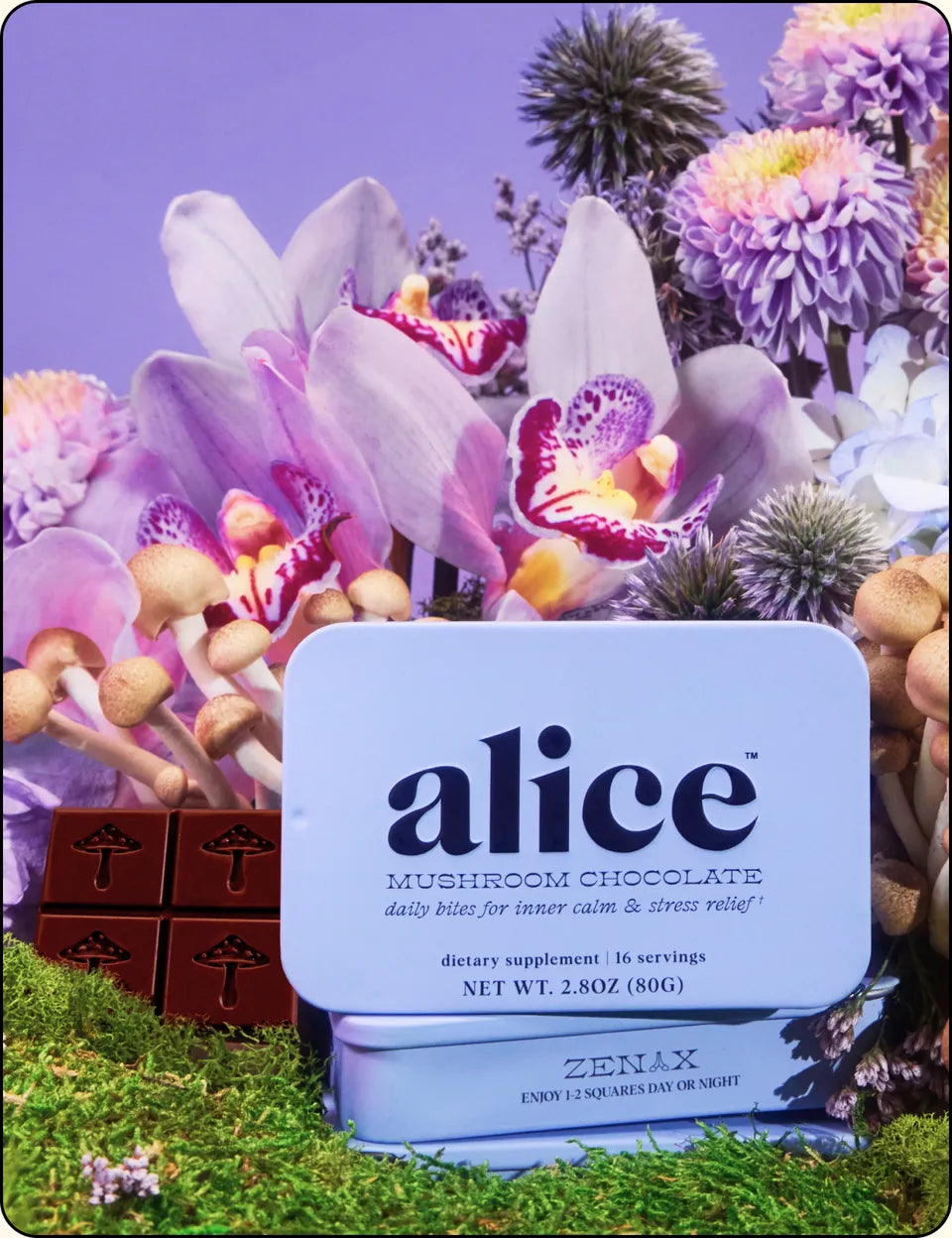 zen-x tin, lavender, with orchids, mushrooms and a stack of chocolate squares