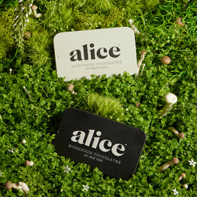 Everyday Duo - Brainstorm and Nightcap Functional Mushroom Chocolates