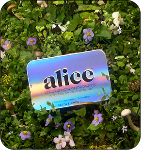 gid://shopify/MediaImage/28700506423433