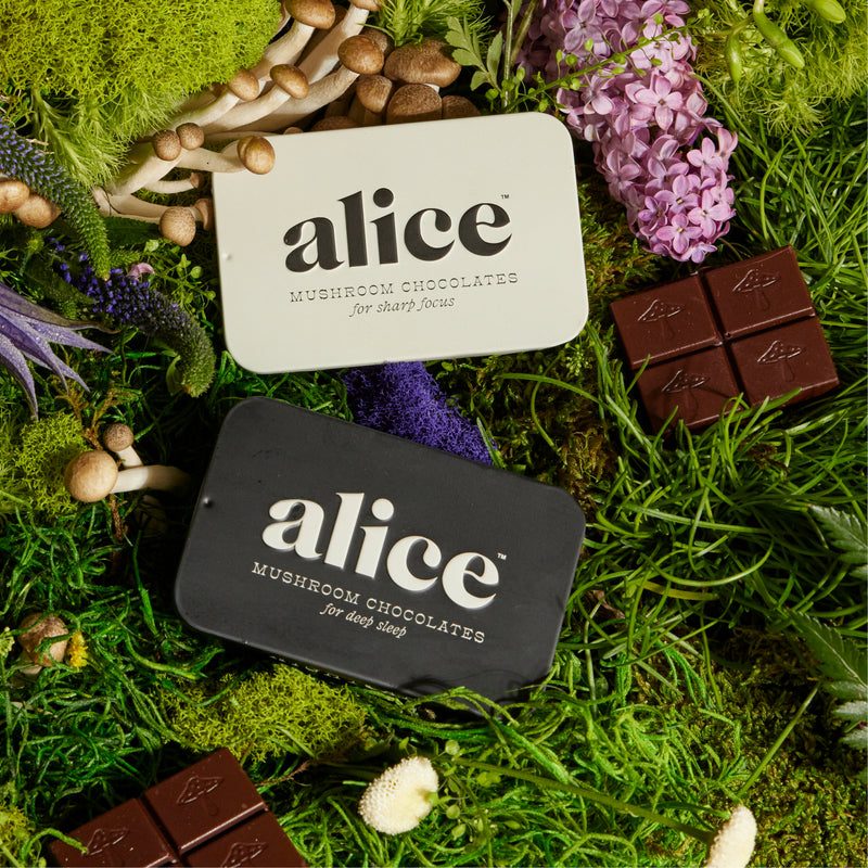 brainstorm and nightcap tins on moss with flowers