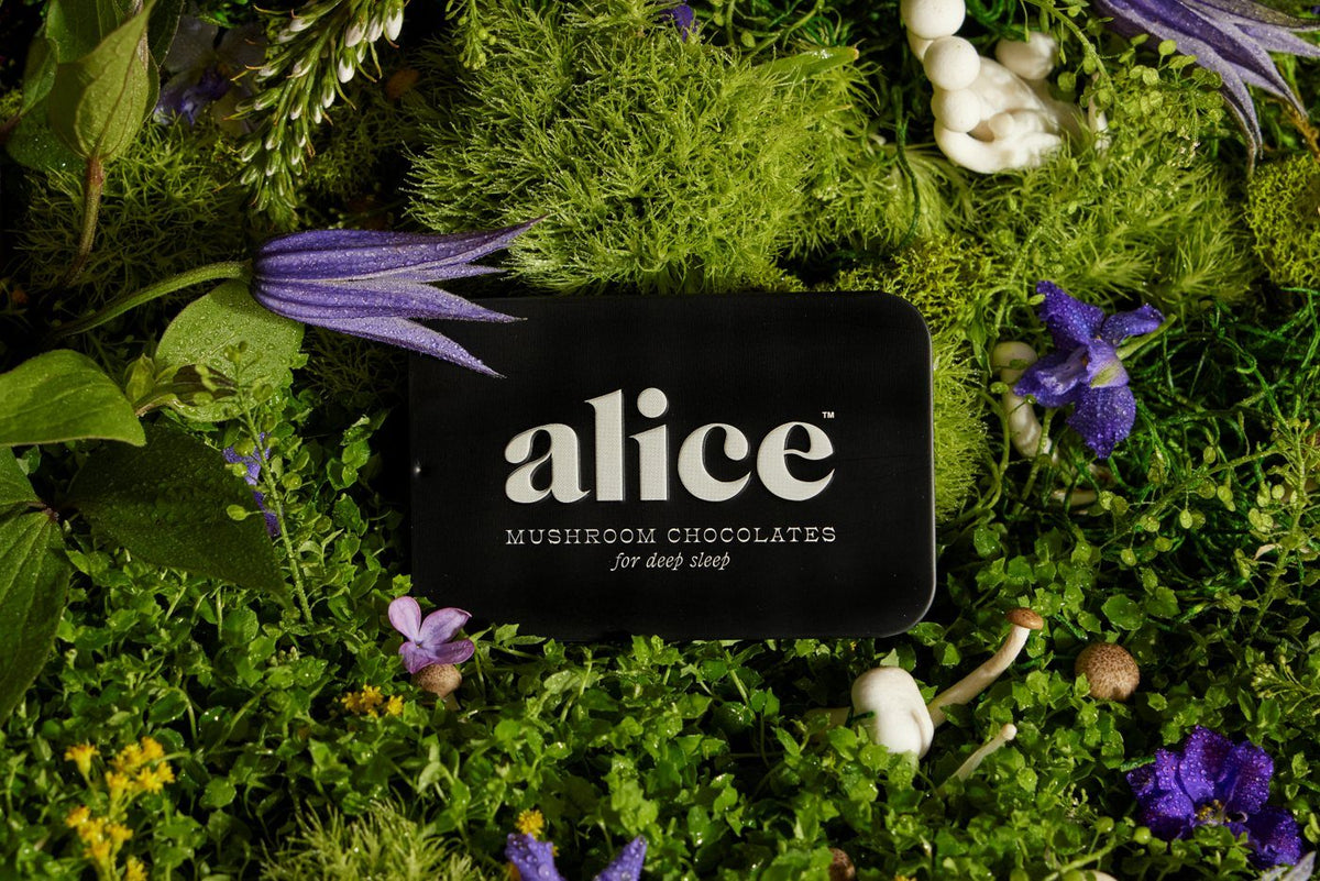a black nightcap tin resting on moss among violet wildflowers