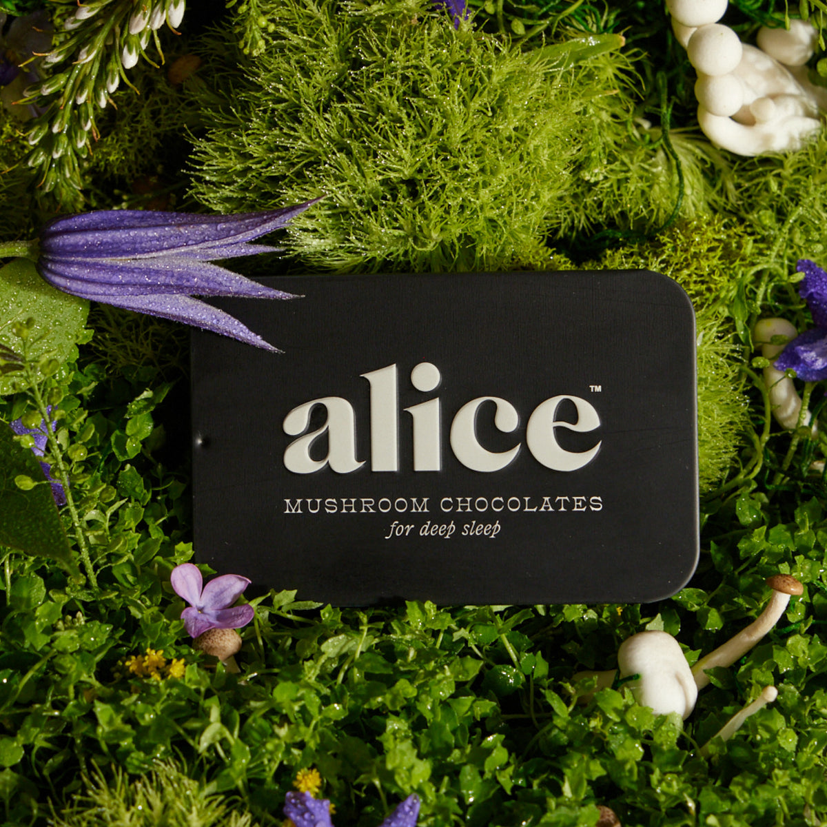 Nightcap mushroom chocolate tin, black, lid reading alice mushroom chocolates for deep sleep, resting on moss with lavender
