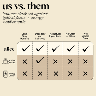 Everyday Duo - Brainstorm and Nightcap Functional Mushroom Chocolates